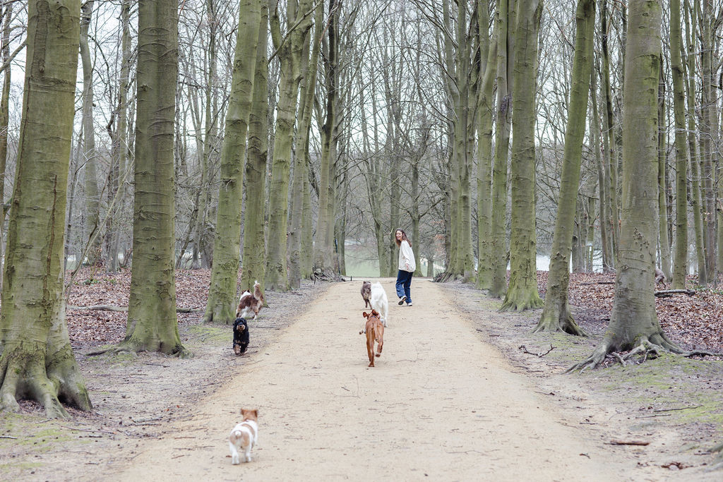 Urban Dogs. Your dogs deserve the best.