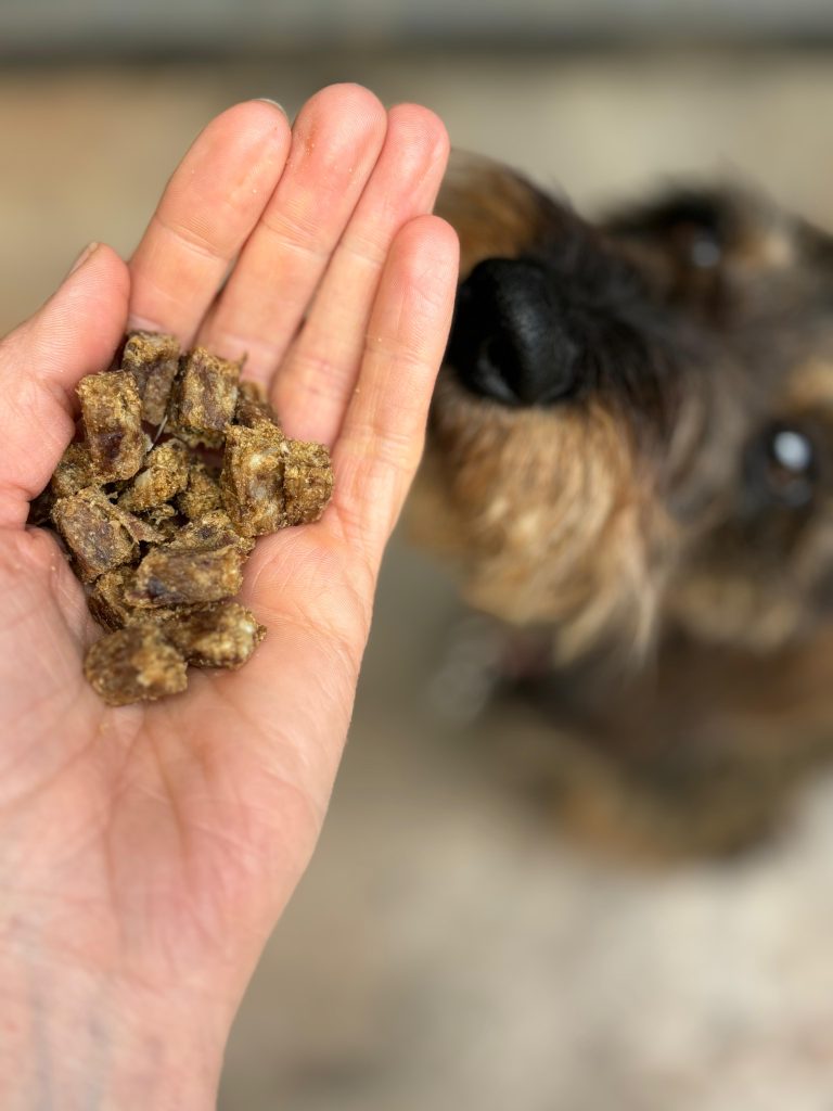 What's new at Urban Dogs. ?
