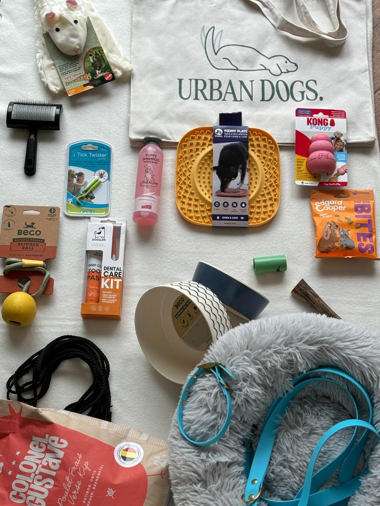 What's new at Urban Dogs. ?