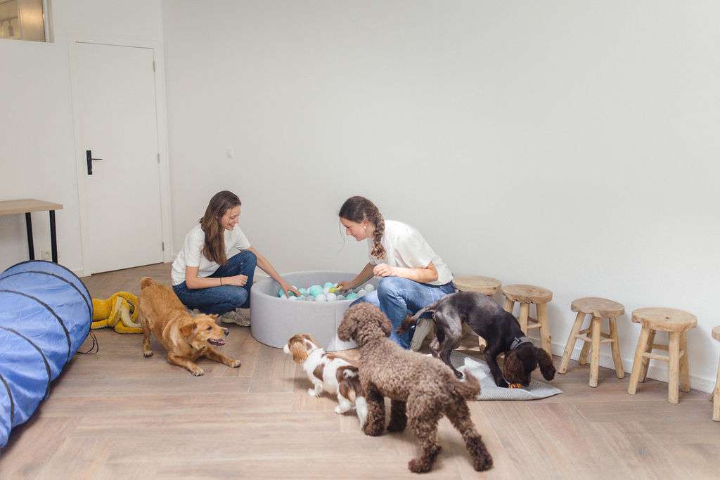 What's new at Urban Dogs. ?