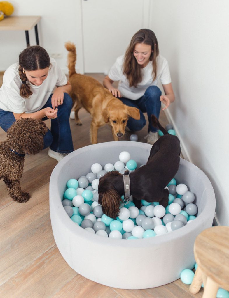Pension de jour Urban Dogs