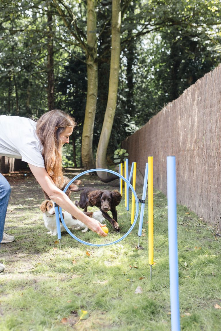Urban Dogs. Your dogs deserve the best.