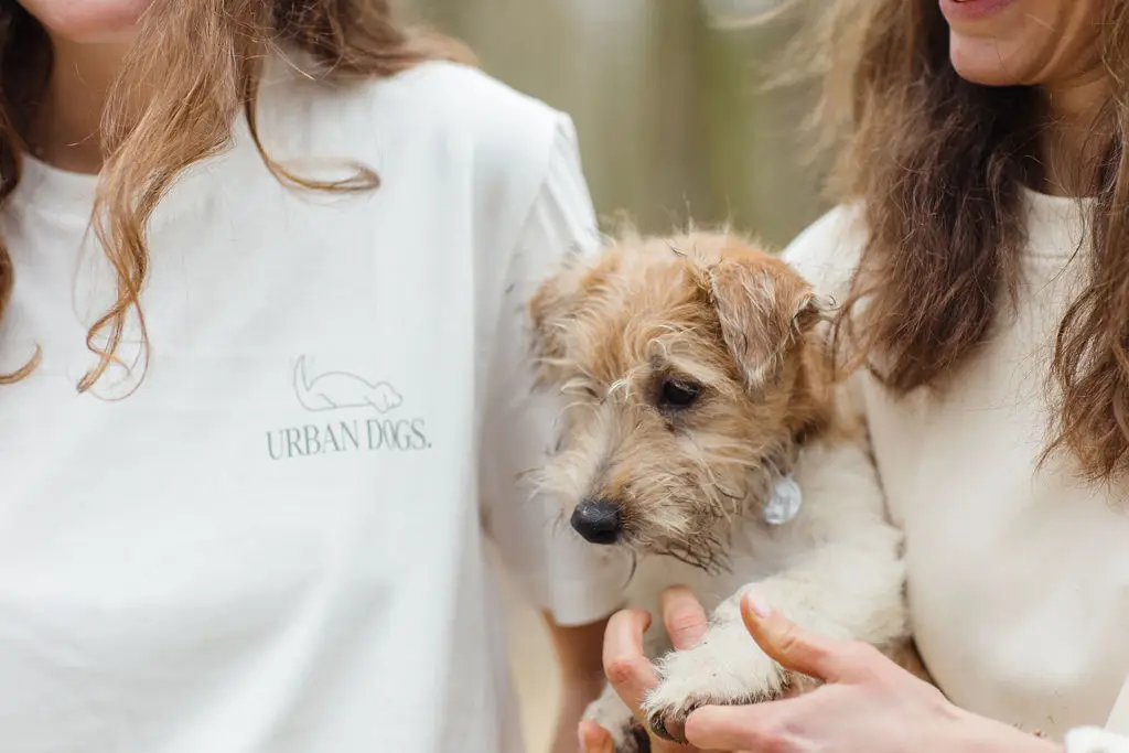 What's new at Urban Dogs. ?