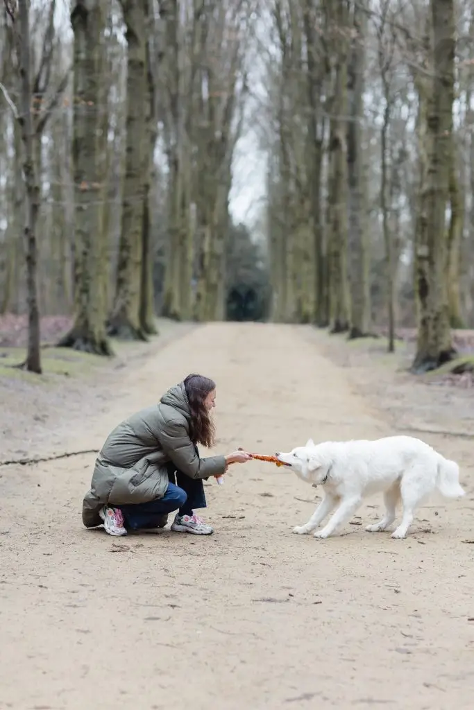 Alexia Rousseaux joue avec un chien blanc dans un bois