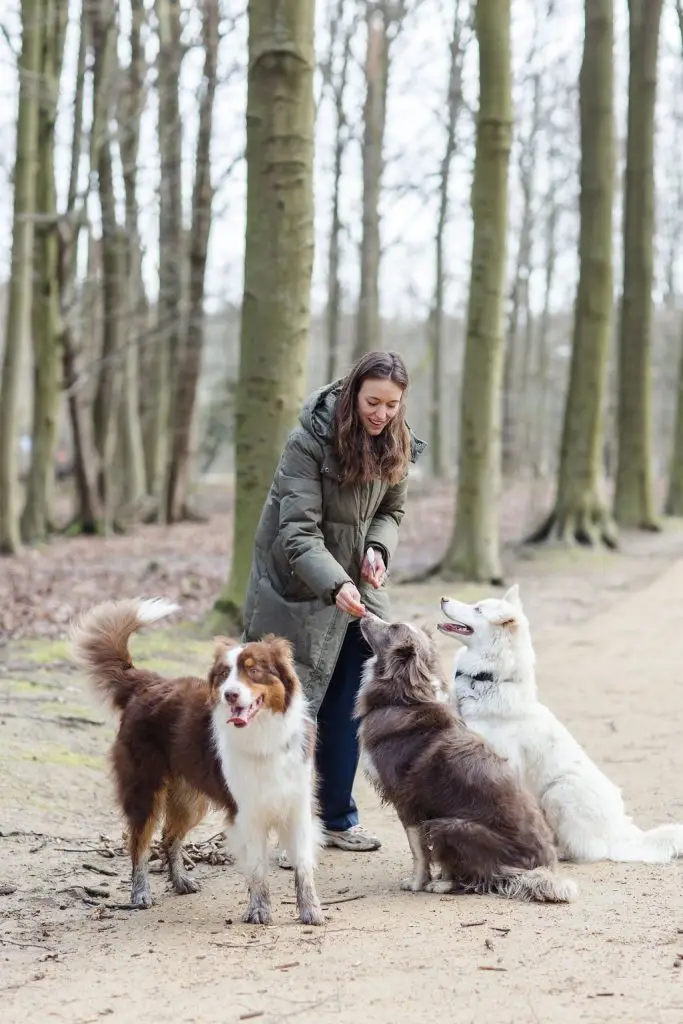 What's new at Urban Dogs. ?