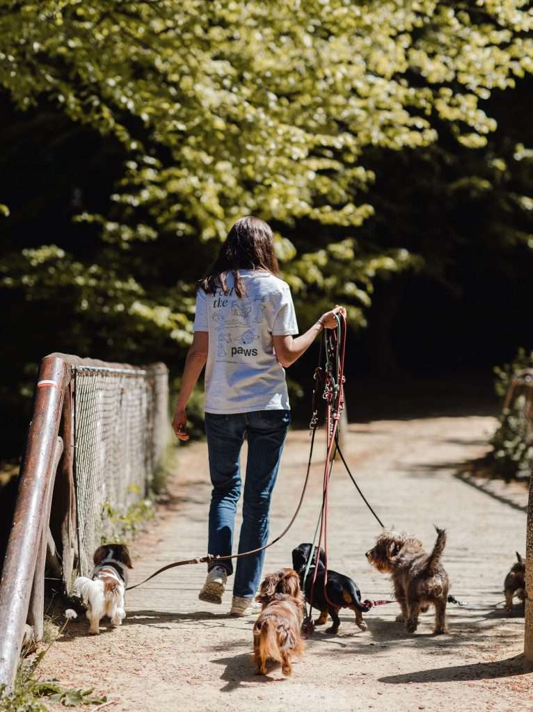 Boutique e-shop Urban Dogs